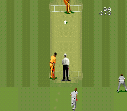 Super International Cricket (Europe) In game screenshot